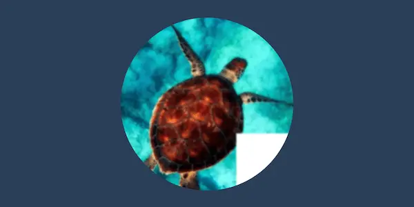 Sliding Puzzle Cover